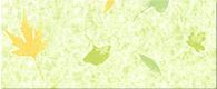No.233@[t