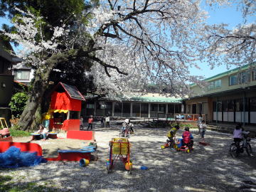 学校法人 さくらぎ幼稚園